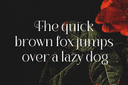 Florality - Modern Serif Font, a Serif Font by Almeera Std (Thumbnail 5 of 5)