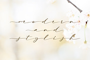 Gladis - Modern Calligraphy, a Script Font by Motokiwo (Thumbnail 2 of 8)