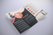 Trifold Brochure Template, a Brochure Template by Alice_s (Thumbnail 2 of 9)