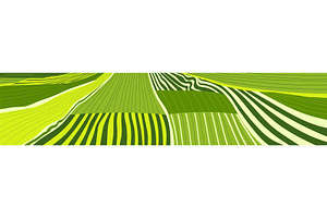 Vector farm field landscape. Furrows