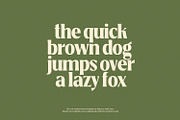 True Sage - Decorative Serif Family, a Font by creativemedialab (Thumbnail 2 of 16)