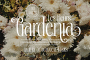 Deronia Beauty Branding Serif Font, a Serif Font by RantautypeStudio (Thumbnail 9 of 17)