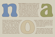 GARDINO - Art Nouveau Typeface, a Serif Font by Nasir Udin (Thumbnail 16 of 18)
