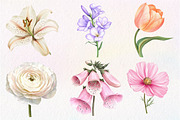 Watercolor Pastel Flowers Clipart, an Illustration by Dream Creation (Thumbnail 3 of 7)