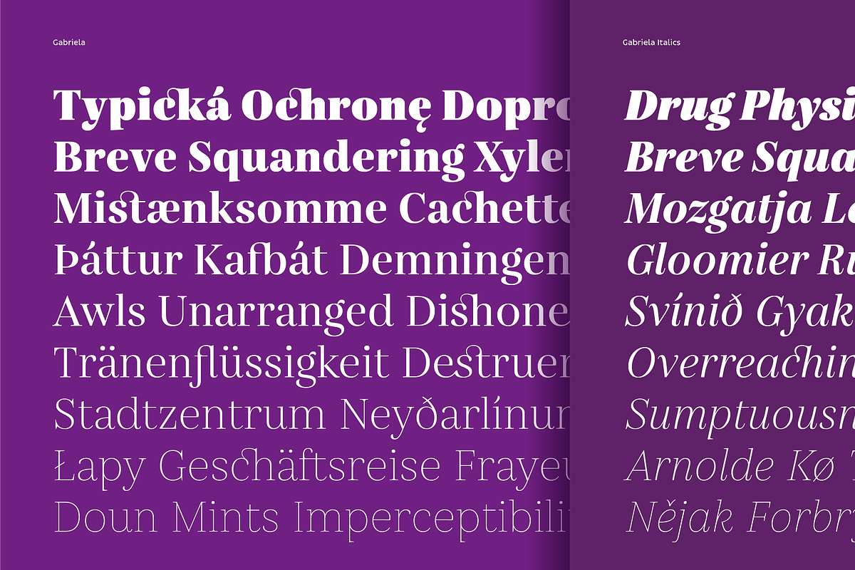 Gabriela, a Serif Font by Lechuga Type (Photo 7 of 17)
