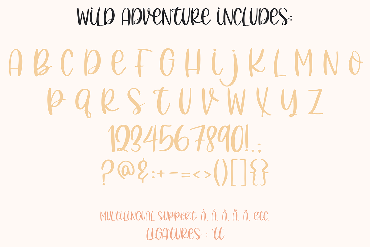 Wild Adventure, Handwritten Script, a Script Font by Designing Digitals (Photo 2 of 8)
