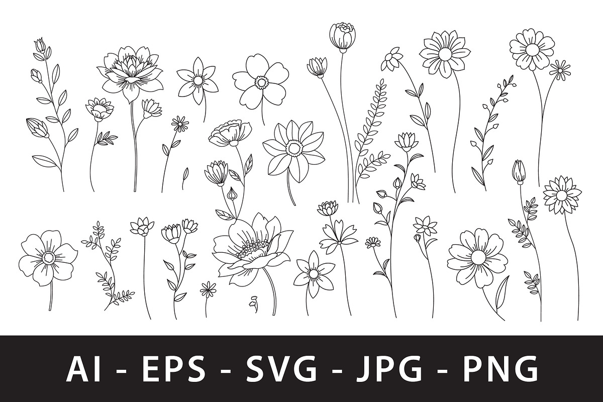 Elegant floral line art, a Decorative Illustration by Saba Vector