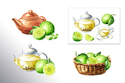 Lime citrus. Watercolor collection, a Food Illustration by Daria Ustiugova (Thumbnail 15 of 21)