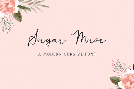 Sugar Muse Script