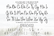 Signature Beauty, a Handwritten Font by FreshTypeINK (Thumbnail 3 of 8)