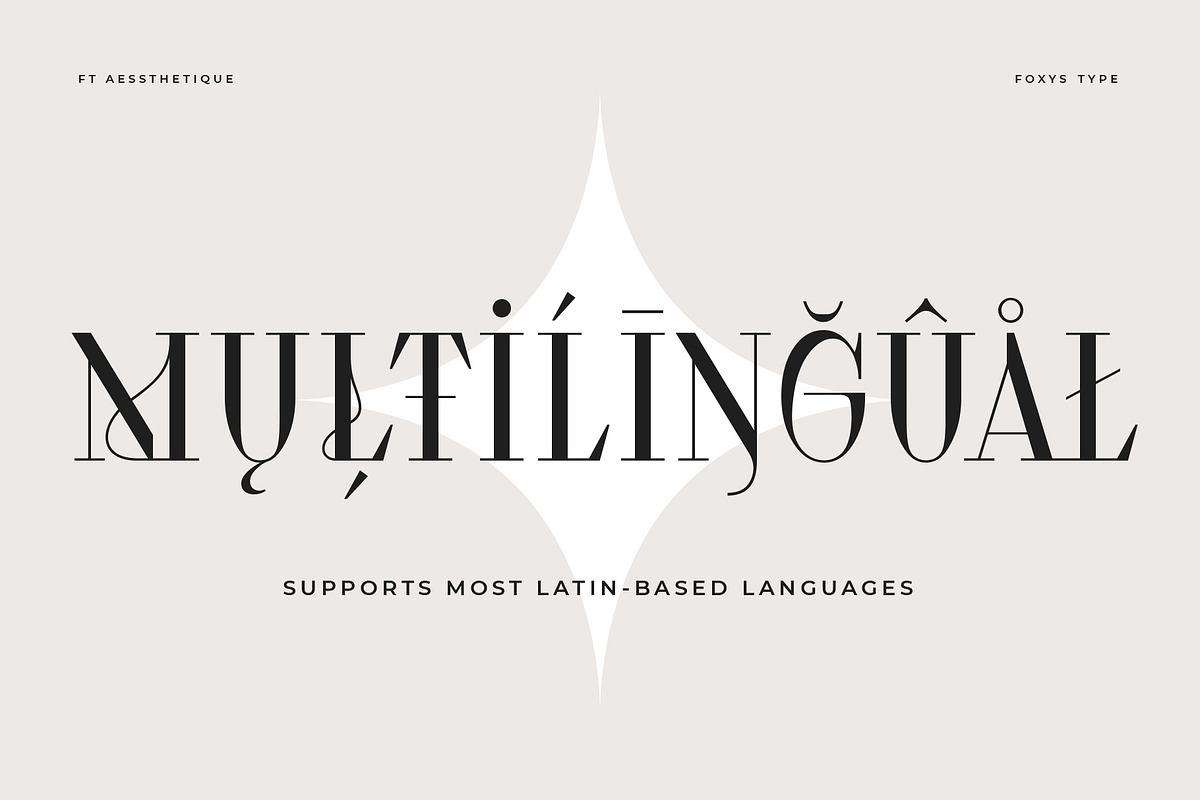 Aessthetique, a Serif Font by Foxys Type (Photo 7 of 11)