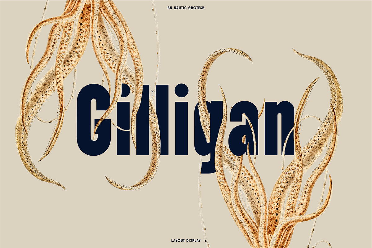 Nautic Grotesk - Modern Display Font, a Sans Serif Font by Bnick (Photo 8 of 12)