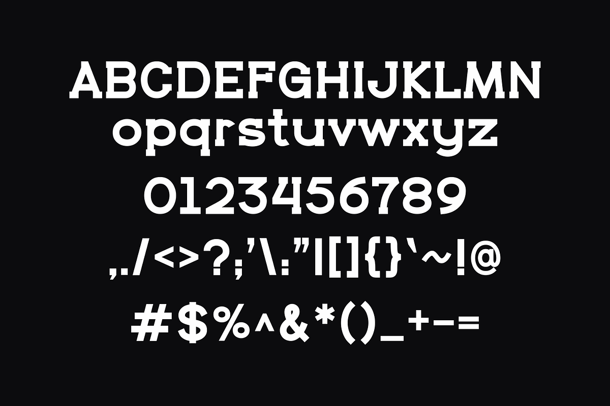 Nepuri, a Serif Font by lelevien (Photo 4 of 5)