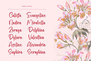 Selynadia Bold Brush Font, a Script Font by stylishtype.co (Thumbnail 7 of 20)