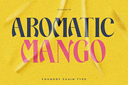 Averdyn, a Serif Font by zaaintype (Thumbnail 4 of 10)