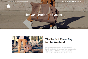 Seller - ECommerce WordPress Theme