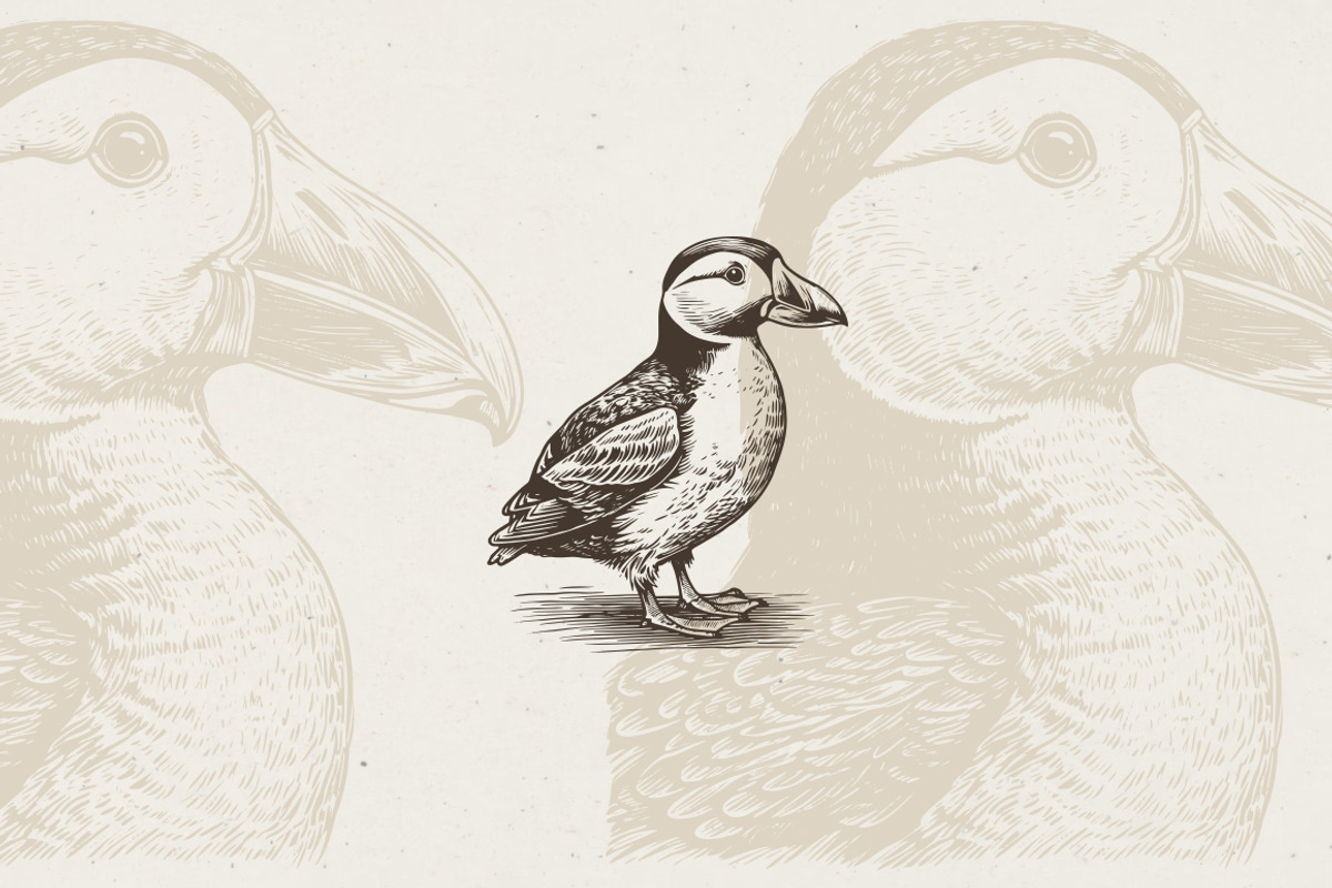 260 Birds Illustrations, an Animal Illustration by Nocturnal Wolf (Photo 7 of 13)
