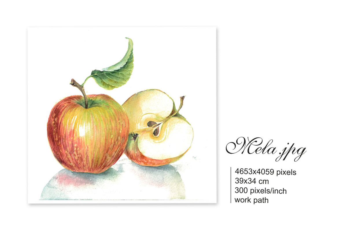 Set of 4 watercolor Fruits, an Illustration by Marina.Markizova (Photo 5 of 6)