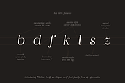 Flatline Serif Complete - 16 fonts, a Serif Font by Up Up Creative (Thumbnail 4 of 13)