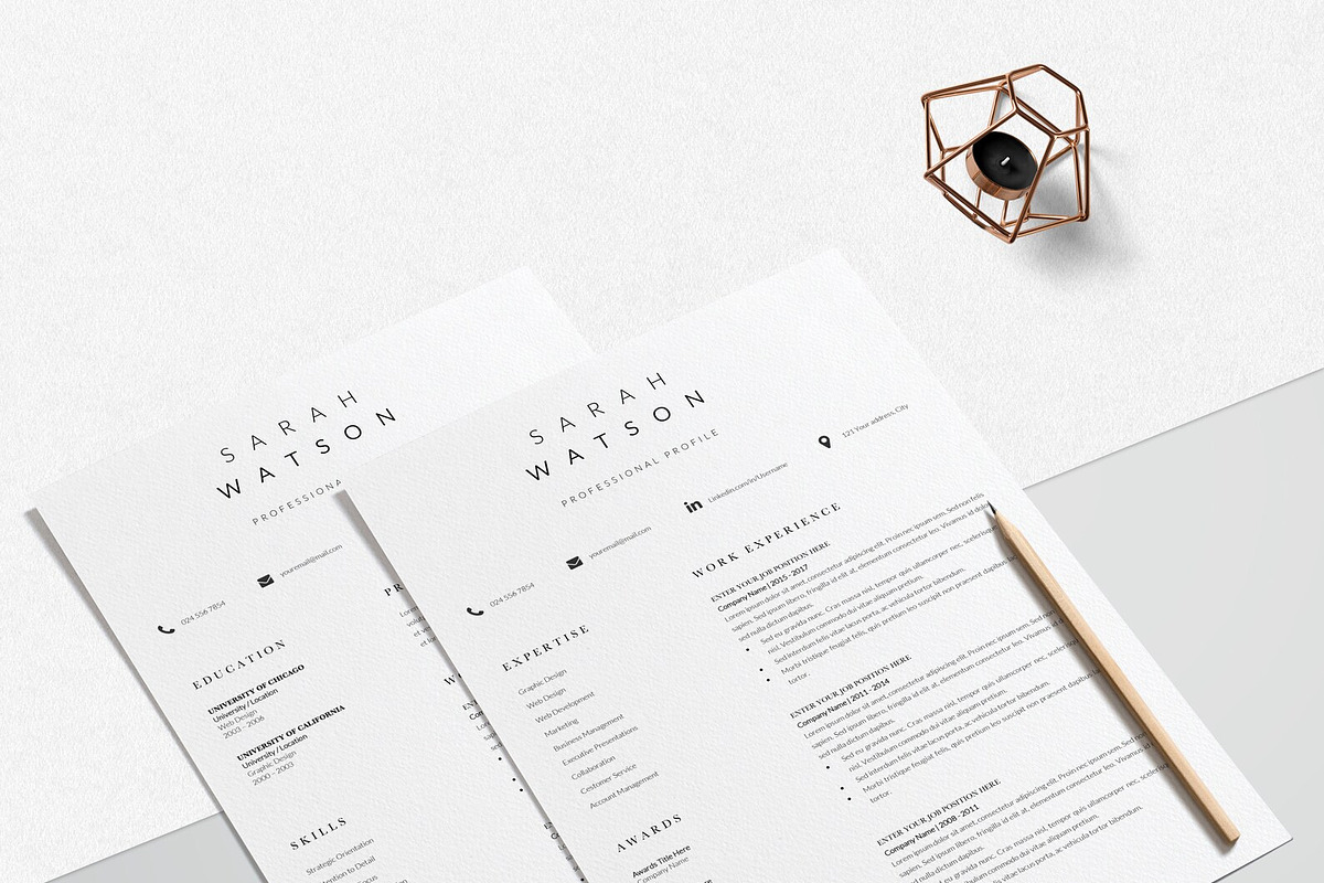 Creative Resume Design Professional, a Resume Template by LucaTheme (Photo 6 of 10)
