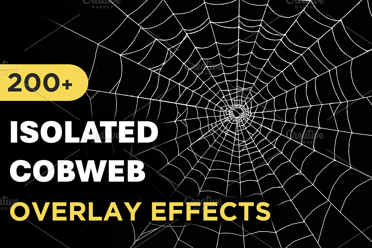 200+ Spider Web Overlays, a Nature Photo by Mikel Blazgad (Photo 1 of 10)