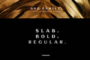 Torres Font Family, a Serif Font by AndrewPixel (Thumbnail 3 of 8)