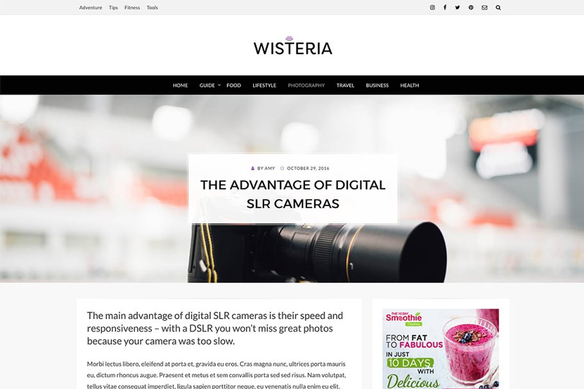 Wisteria - A Creative Blog Theme, a WordPress Template by DesignOrbital (Photo 2 of 5)