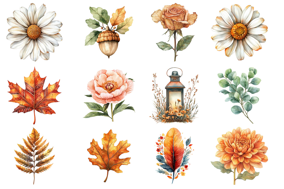 Fall Autumn Floral Clipart, an Illustration by SinaCreation (Photo 3 of 5)