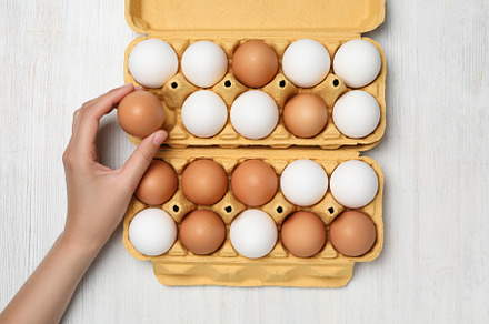 Female hand and egg boxes on white wooden background, a Food & Drink Photo by AtlasStudio PRO