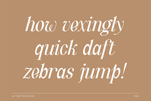 Quinty A Luxury Serif Font Family