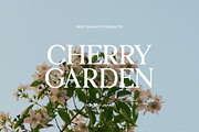 Euphoria - Modern & Round Serif, a Serif Font by Schrifted Type (Thumbnail 3 of 8)