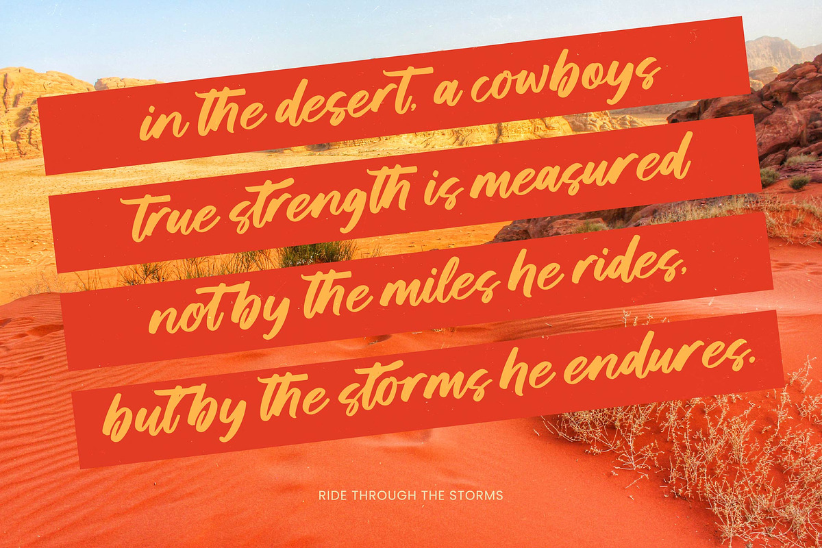 Saddle Nomad Bold Brush, a Script Font by Letterena Studios Script (Photo 10 of 25)