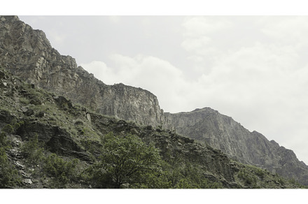 Beautiful rocks with green plants, a Nature Photo by Media Whale Stock