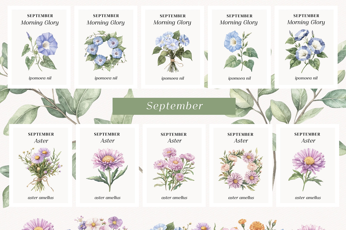 Birthday Flowers, a Decorative Illustration by PeDe Designs (Photo 9 of 10)