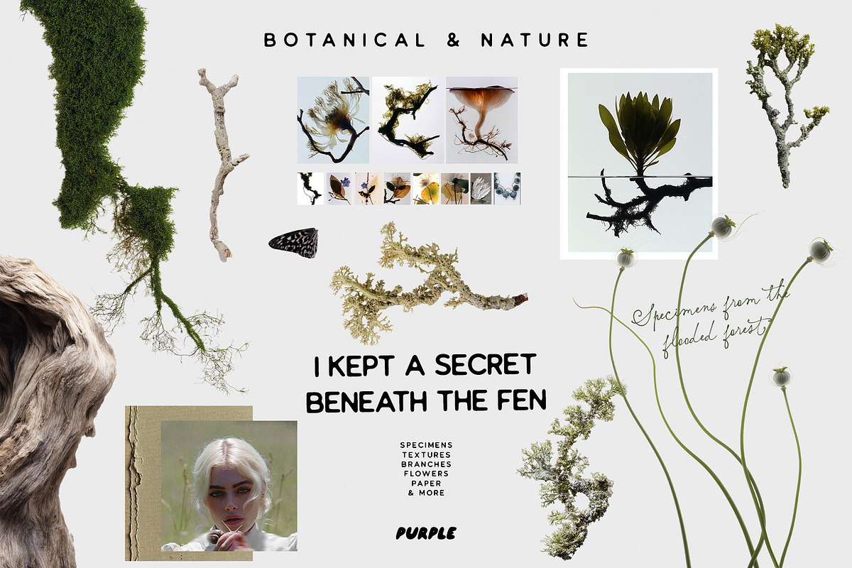 Botanical & Nature Collage Kit, an Object Graphic by Purple (Photo 1 of 11)
