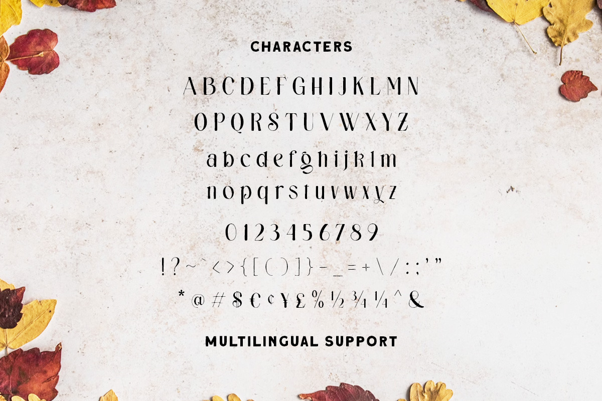 Radiance Autumn -Organic hand Drawn, a Handwritten Font by Letterhend Studio (Photo 9 of 9)