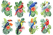 Tropical birds watercolor clipart, an Animal Illustration by Hanna Hryharenka (Thumbnail 3 of 12)