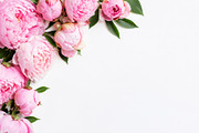 2 Pink Peony Floral Border Backdrop, a Background Photo by Hamza067 (Thumbnail 3 of 3)