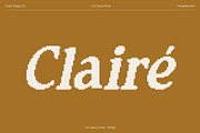 CS Clarion Pixel, a Serif Font by Craft Supply Co. (Thumbnail 2 of 8)