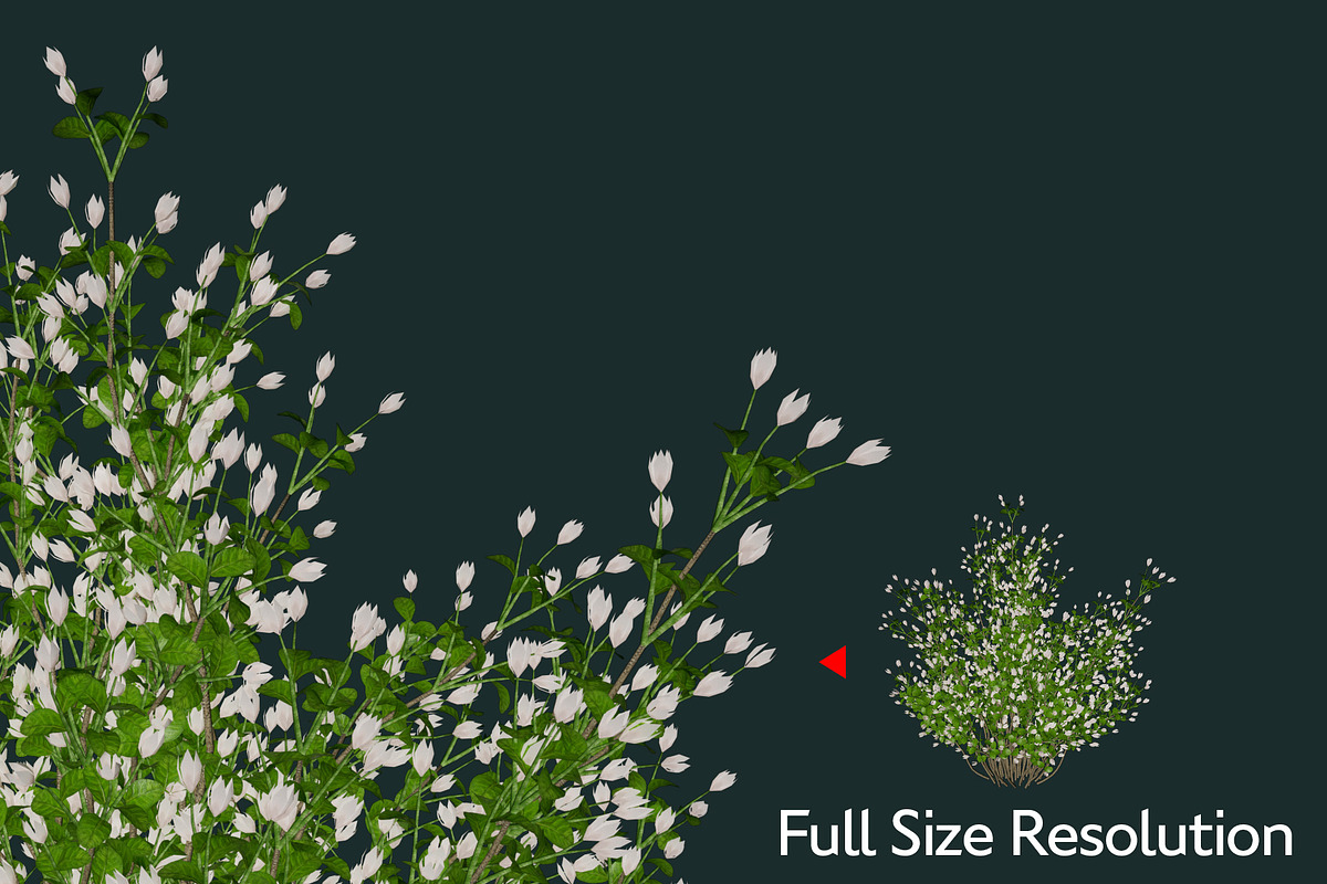 Various Grass Brushes for PS & PNGs, a Brush Add-On by Creative Graphics (Photo 4 of 5)