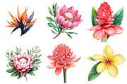 Watercolor Tropical Flowers Clipart, an Illustration by Watercolor design (Thumbnail 3 of 4)
