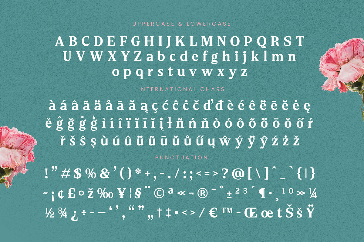 Neutral Trends Modern Display Serif, a Serif Font by timelesstype.co (Photo 19 of 20)