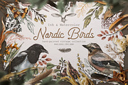 Nordic Birds Ink & Watercolor Set, an Illustration by Fluffy Unicorn (Thumbnail 1 of 12)