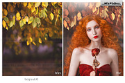 Autumn Portrait Backgrounds, a Background Graphic by MixPixBox (Thumbnail 7 of 8)