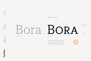 TT Tricks, a Serif Font by TypeType (Thumbnail 7 of 10)