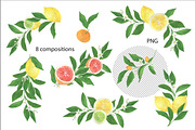 Citrus collection, a Pattern Graphic by ramika (Thumbnail 7 of 9)