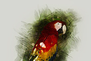 Pro Watercolor Paint, an Action Add-On by MRI STUDIO (Thumbnail 14 of 18)