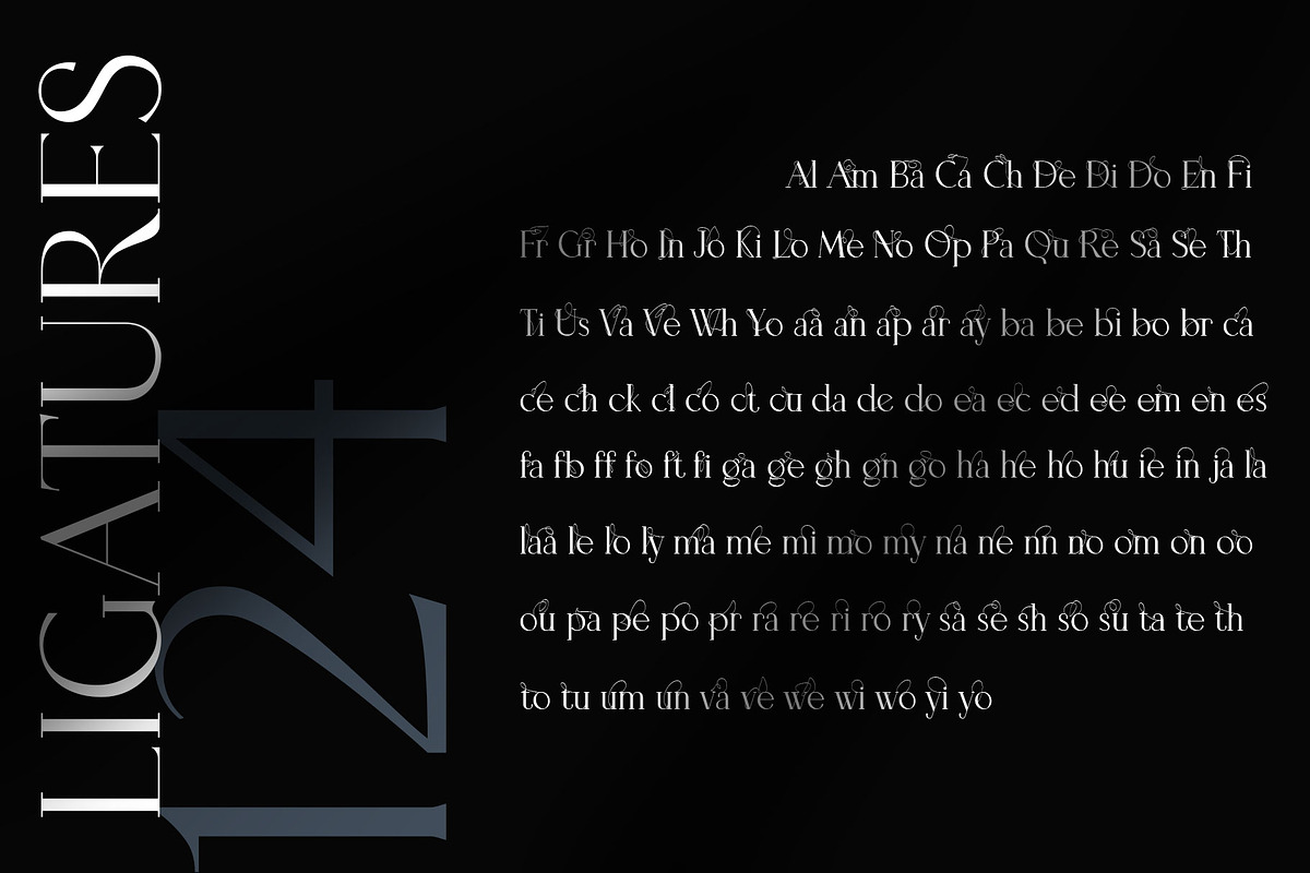 Tilaa Serif -Ligature Typeface, a Serif Font by Ryul Davidson (Photo 12 of 13)