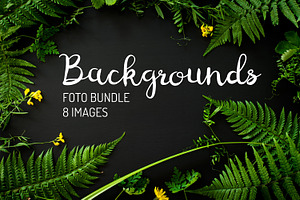 Forest plant background photo bundle