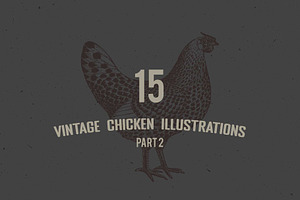 Vintage Chicken Illustrations Vector